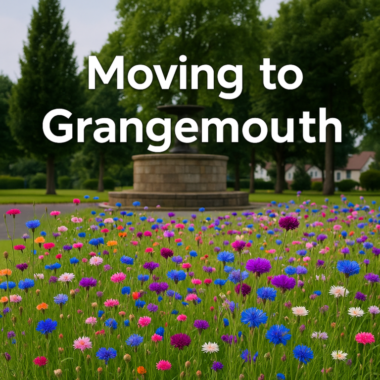 Moving to Grangemouth: What You Need to Know and Why You’ll Love It