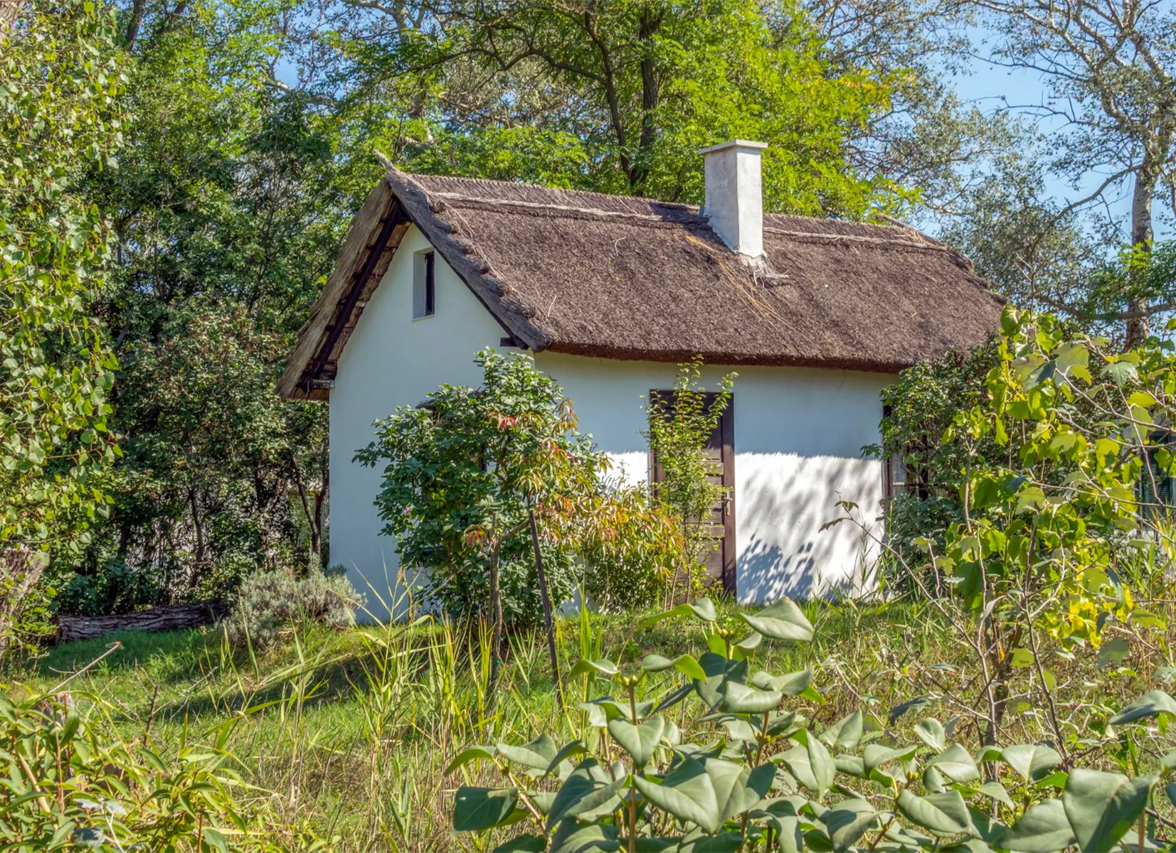 Small countryside cottage surrounded by greenery, illustrating tiny living and storage solutions for small homes.